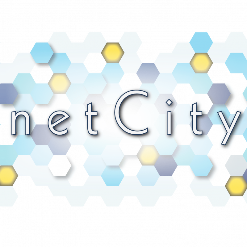 netCity